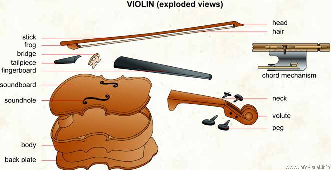小提琴及琴弓位置名稱中英對照表